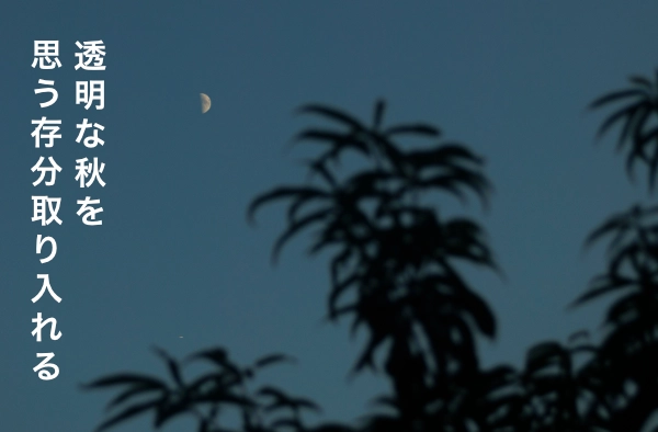 水まわりを整えて美しい秋を気持ちよく過ごす