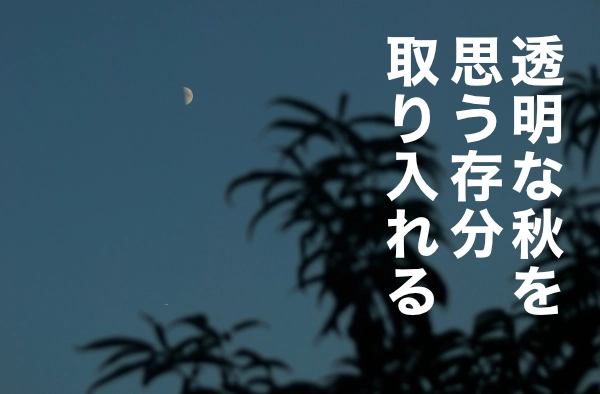 秋に特に注意すべき水漏れや詰まりトラブルの水道修理費用や目安の料金はこちら